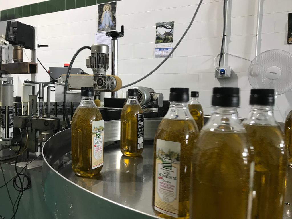 Einweihung der Olivenkampagne in der Genossenschaft