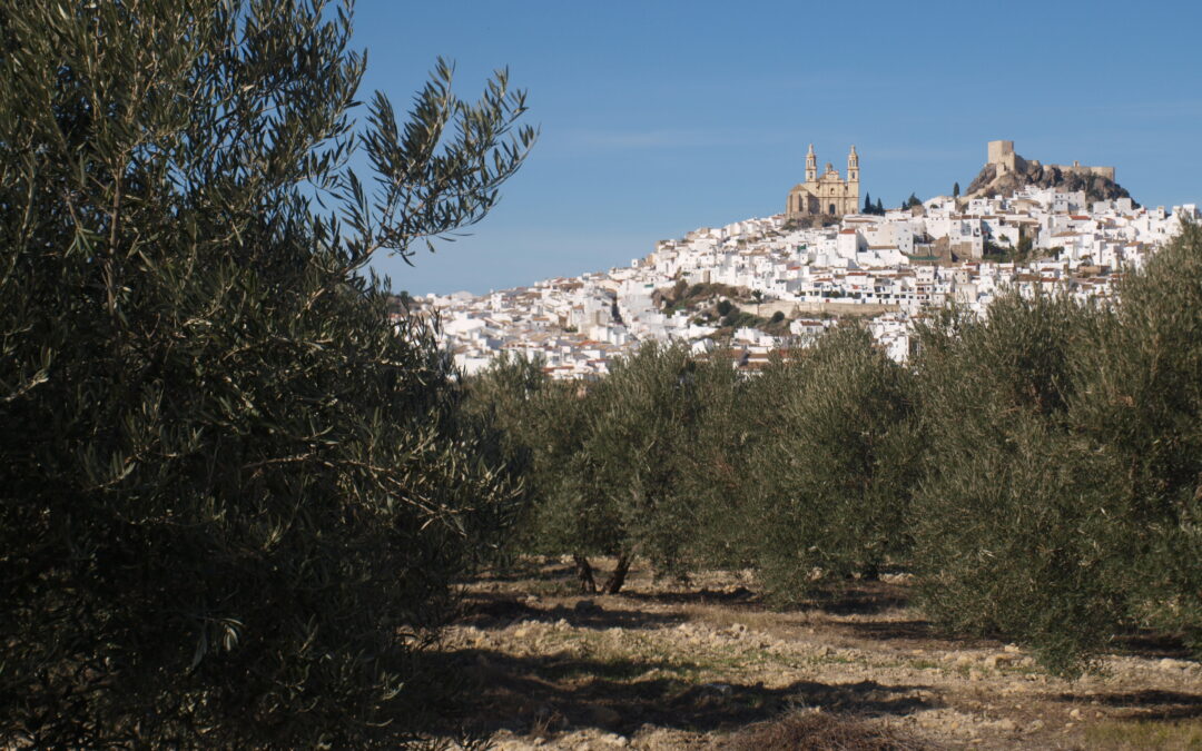 Olvera, Capitale du tourisme rural 2021