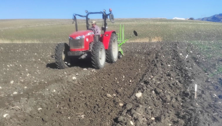 LOS REMEDIOS PICASAT SCA COMIENZA LA SIEMBRA DE LOS CAMPOS DE ENSAYO DE CEREALES Y LEGUMINOSAS