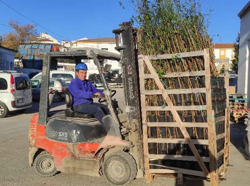 CAMPAÑA 2021/22 DE PLANTACIÓN DE ALMENDROS