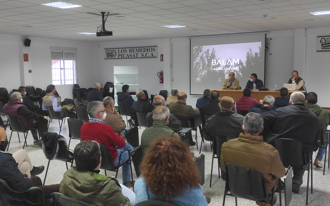 CONFERENZA SUI CRITERI DI IMPIANTO E LA QUALITÀ DELL'OLIO EXTRA VERGINE DI OLIVA