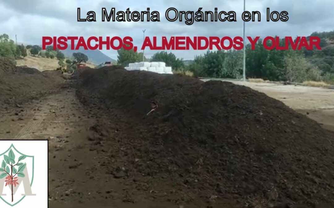 LA IMPORTANCIA DE LA MATERIA ORGÁNICA EN EL SUELO PARA NUESTROS CULTIVOS